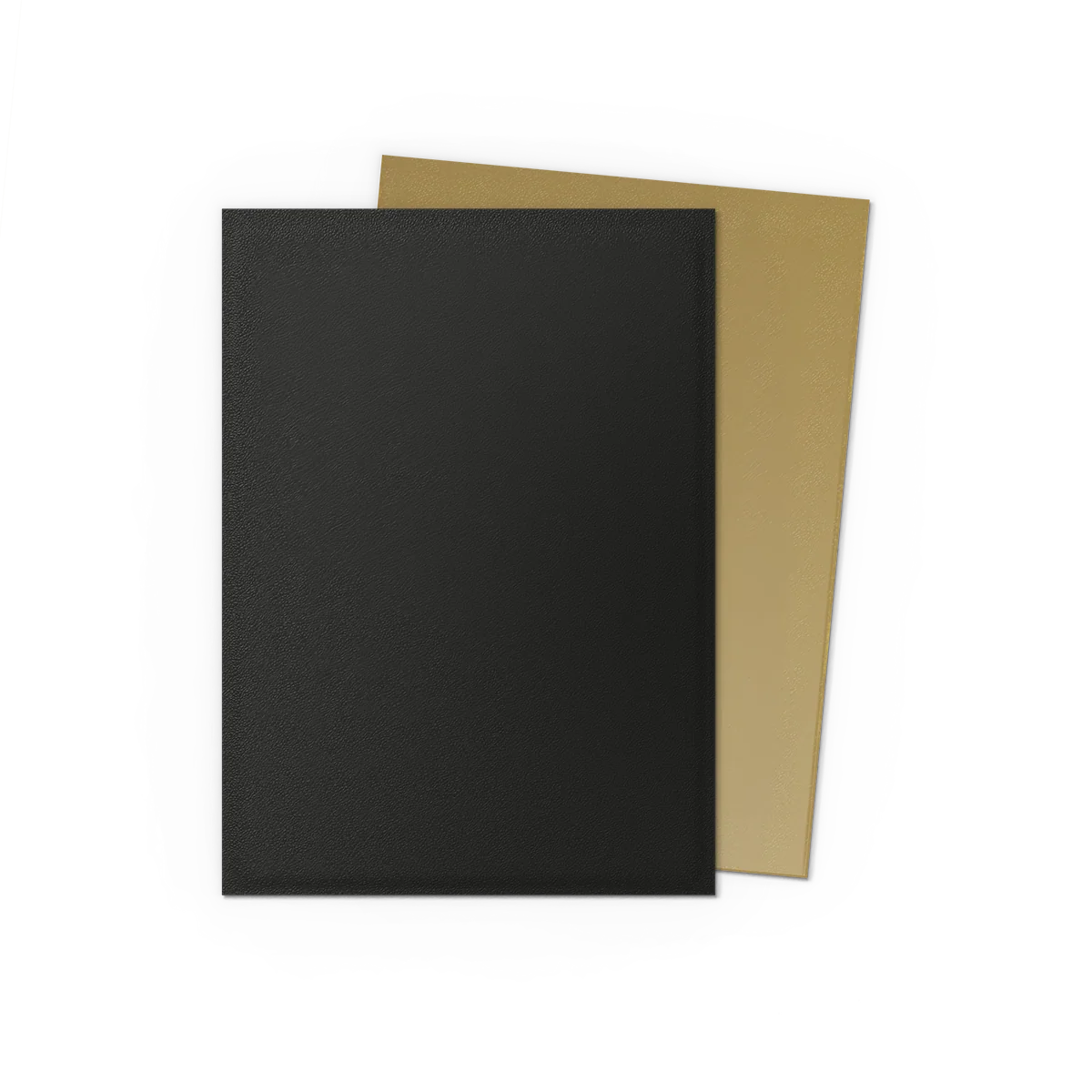 Dragon Shield Sleeves: Standard Matte Dual Sleeves