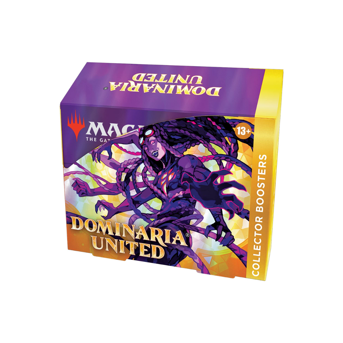 MTG TCG: Dominaria United - Collector Booster Display